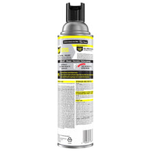Load image into Gallery viewer, Raid Wasp &amp; Hornet Killer, Outdoor Flying Insect Spray, 17.5 oz