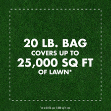 Load image into Gallery viewer, Spectracide Triazicide Insect Killer for Lawns, Granules Kill Lawn-Damaging Insects, 20 lb