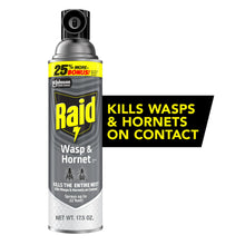Load image into Gallery viewer, Raid Wasp &amp; Hornet Killer, Outdoor Flying Insect Spray, 17.5 oz
