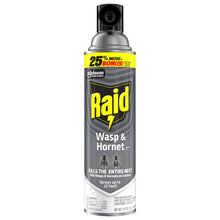 Load image into Gallery viewer, Raid Wasp &amp; Hornet Killer, Outdoor Flying Insect Spray, 17.5 oz