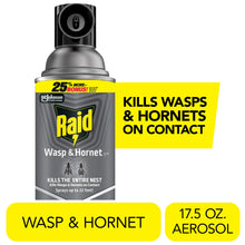 Load image into Gallery viewer, Raid Wasp &amp; Hornet Killer, Outdoor Flying Insect Spray, 17.5 oz