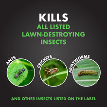 Load image into Gallery viewer, Spectracide Triazicide Insect Killer for Lawns, Granules Kill Lawn-Damaging Insects, 20 lb