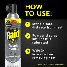 Load image into Gallery viewer, Raid Wasp &amp; Hornet Killer, Outdoor Flying Insect Spray, 17.5 oz
