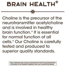 Load image into Gallery viewer, Nature&#39;s Way Choline 500 mg 100 Vegan Tablets
